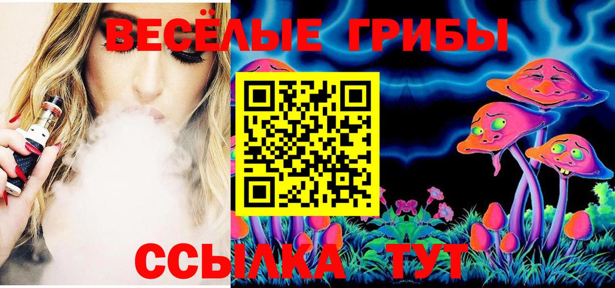Псилоцибиновые грибы мицелий  Вход с VPN  Камышин 